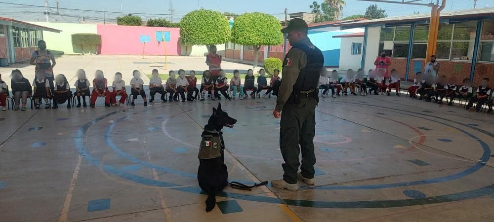 Guardia Civil Estatal fomenta la prevención en escuelas de la zona ...